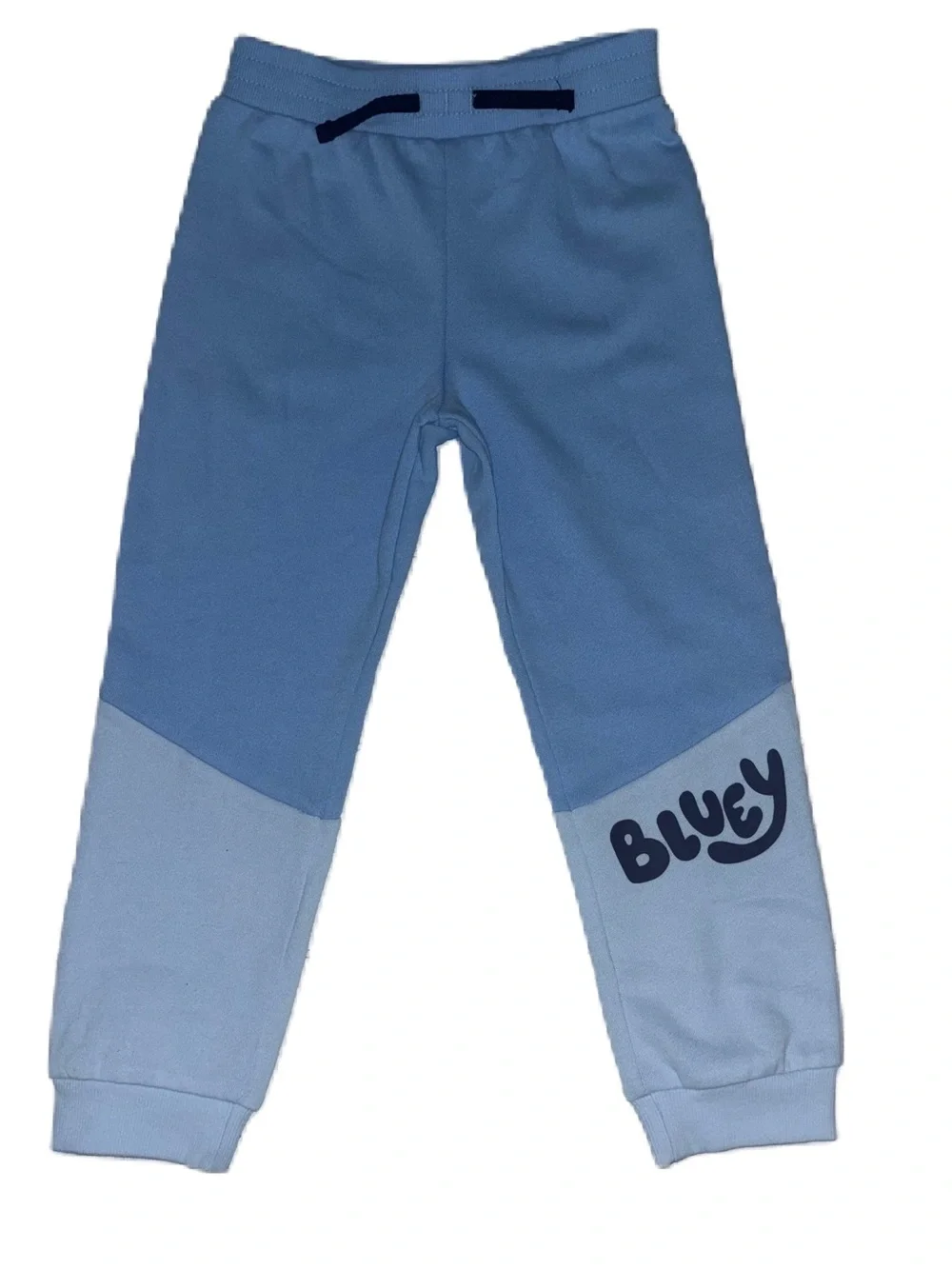 Bluey Matching Sweatshirt Hoodie & Sweat Pants Joggers Set 5T